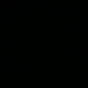 Meet your Posher, Zach